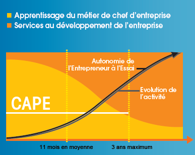 schema-cape2